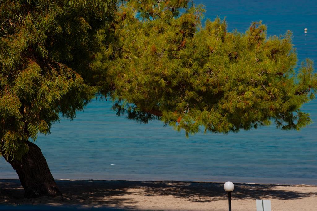 Akti House Psarogiannis Apartments & Studios Βουρβουρού Εξωτερικό φωτογραφία