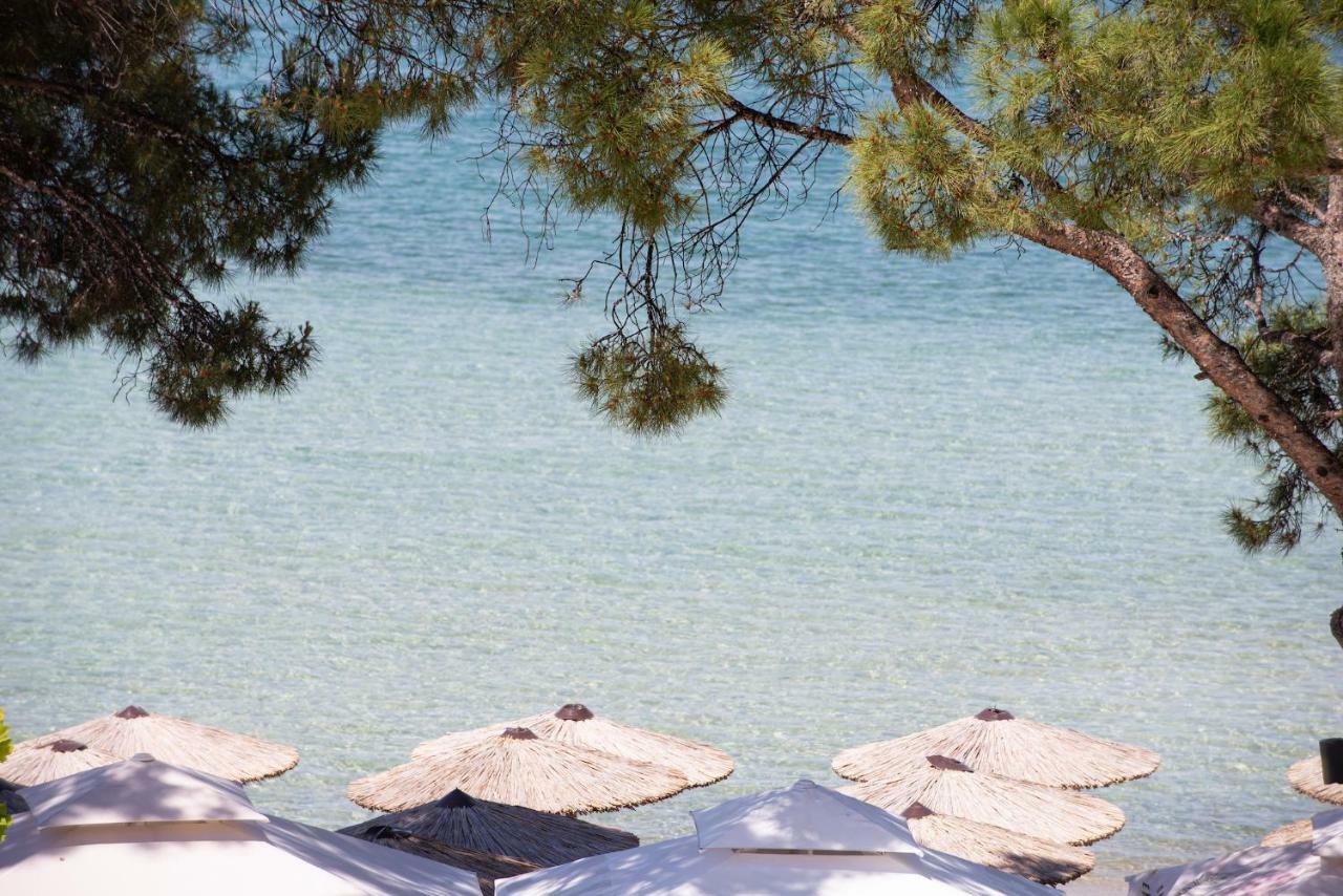 Akti House Psarogiannis Apartments & Studios Βουρβουρού Εξωτερικό φωτογραφία