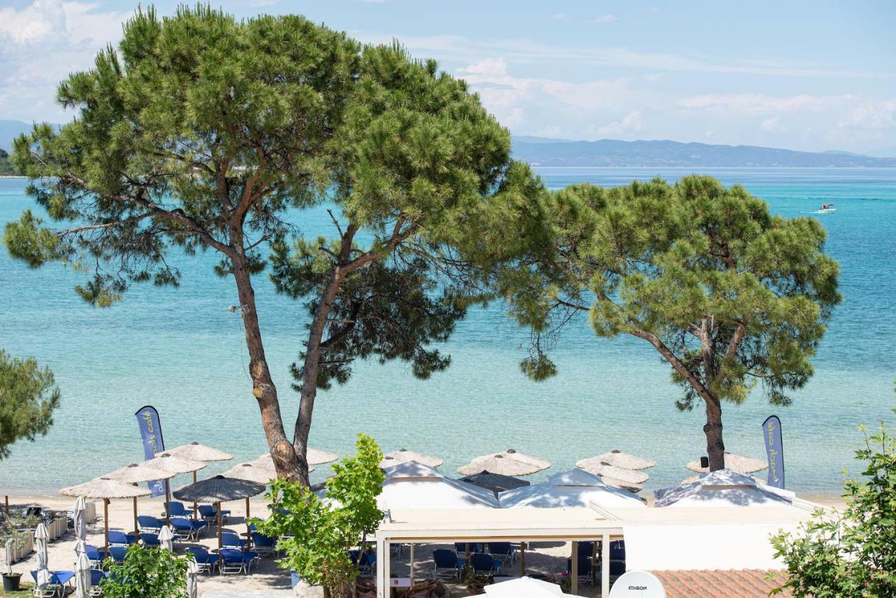 Akti House Psarogiannis Apartments & Studios Βουρβουρού Εξωτερικό φωτογραφία